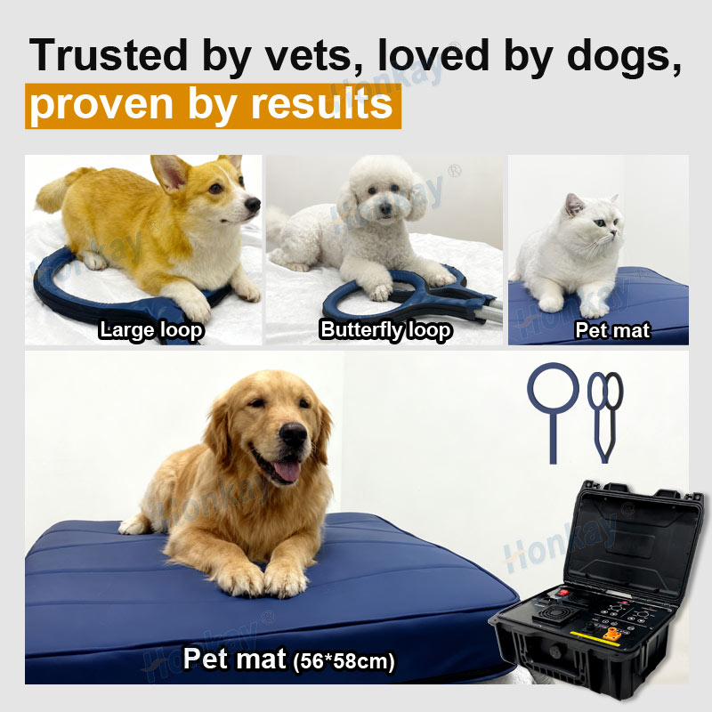 Personal Pet Care PEMF Device  - Therapy Health And Wellness 评论和价格
